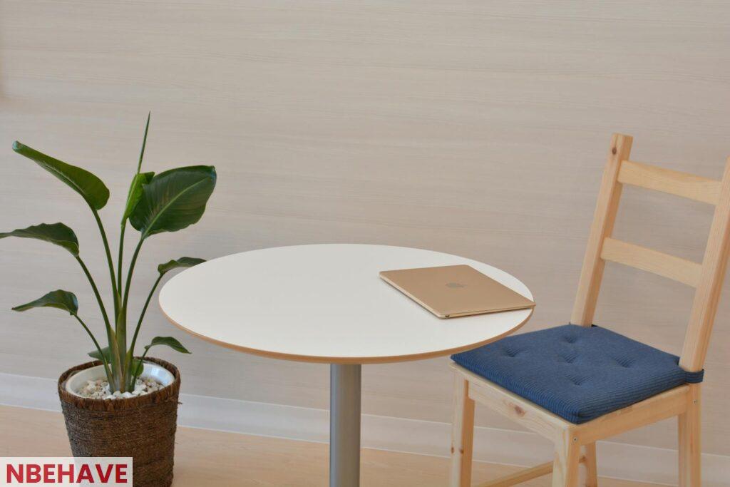 A sleek minimalist office space featuring a table with a laptop and a potted indoor plant beside a wooden chair.