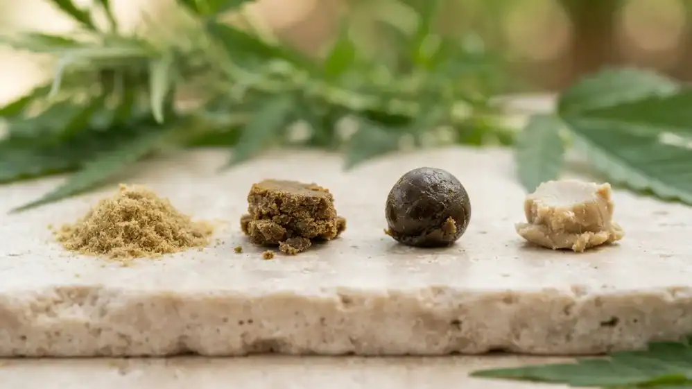 Diferentes tipos de hachís CBD, dry sift y resinas